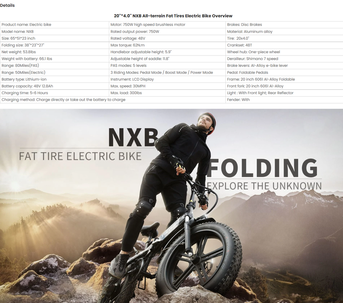 Electric Bike