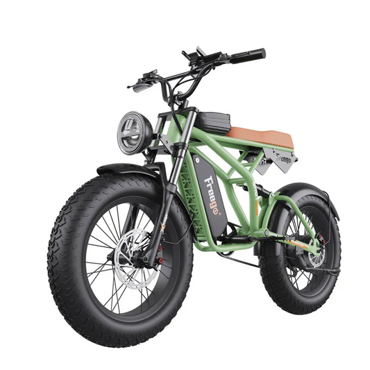 Speed Gears Fat Tires Off Road Electric Bike