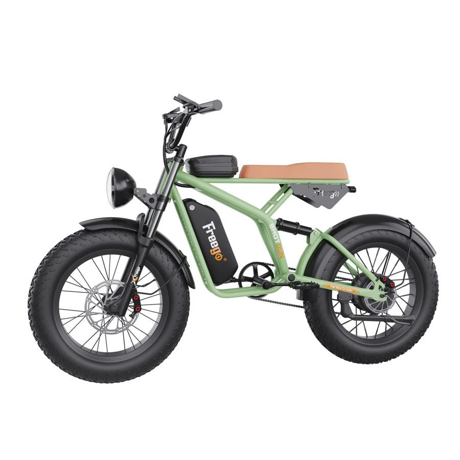 Speed Gears Fat Tires Off Road Electric Bike