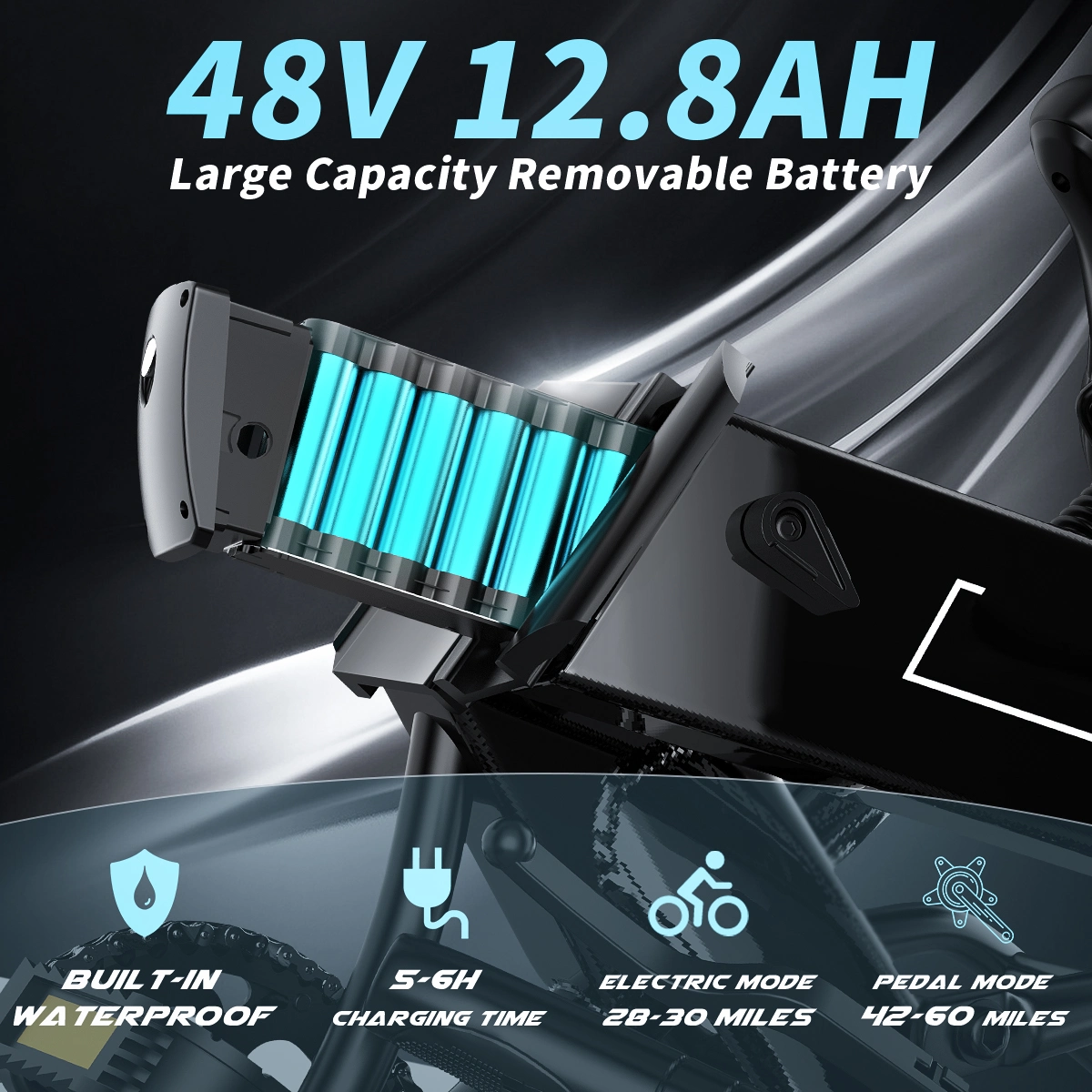 Electric Bike